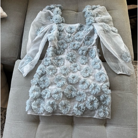 NWT LOVESHACKFANCY Wells appliquéd organza mini dress in blue size 4 - Picture 5 of 12